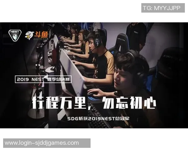 电竞新闻独家解析LNG战队在比赛中的经验对比与成长历程